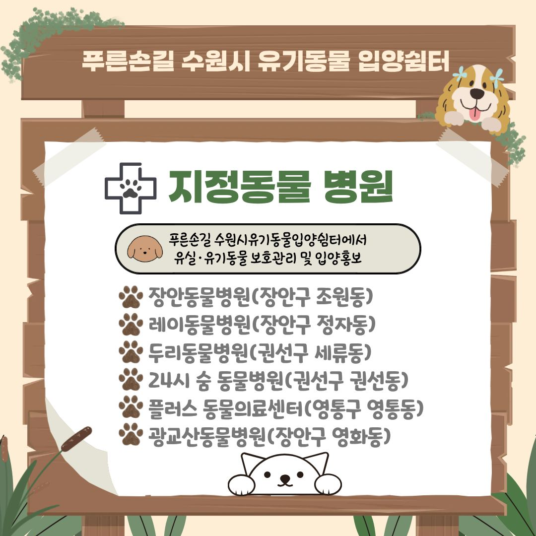 5. 지정동물 병원
안내: 푸른손길 수원시 유기동물 입양쉼터에서 유실·유기동물 보호관리 및 입양홍보
지정 병원 명단:
장안동물병원 (장안구 조원동)
레이동물병원 (장안구 정자동)
두리동물병원 (권선구 세류동)
24시 숨 동물병원 (권선구 권선동)
플러스 동물의료센터 (영통구 영통동)
광교산동물병원 (장안구 영화동)